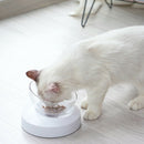 e els pet Pet Bowls for Cats and Small Dogs - Plastic 20 Degree Tilted ElevaL3Y4