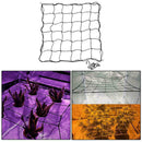 1x Garden Green Nylon Trellis Netting Support Climbing Bean Plant Net Gr BOV