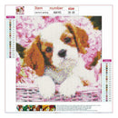 Dog Cat DIY 5D Diamond Painting Full Drill Embroidery Cross Stitch Home Decor