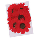 6pcs Pressed Dried Real Flower Sunflower Scrapbooking Embellishments Red