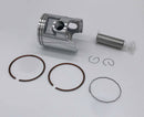 For Yamaha DT 175 YT175 STD Motorcycle Piston 66mm Bore 69.5mm Height Rings Kit