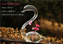 Pair Glass Swan Flower Hydroponic Vase Bottle Micro Landscape DIY Terrarium