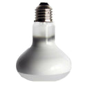 2Pcs Reptile UVA Infrared Heating Light Nightlight Daylight Bulb 50W & 100W