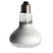 2Pcs Reptile UVA Infrared Heating Light Nightlight Daylight Bulb 50W & 100W