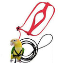 Parrot Bird Parakeet Leash Outdoor Adjustable Harness Training Rope Random