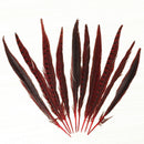 Beautiful Rooster Pheasant Tail Feathers 12-14 Inch Long Costume Decor Mill