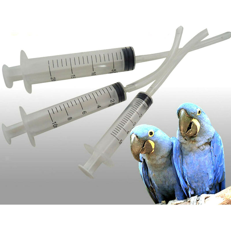 10x Bird Feeding Syringe Baby Parrot Feeders Tool for Small Animals 10ml