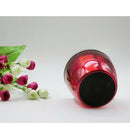 Stainless Steel Double-wall Mini Ice Bucket Serving Bucket Wine Bottles Red