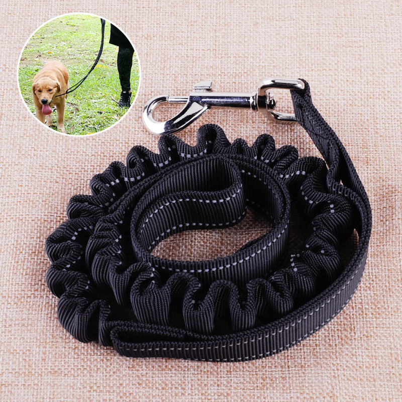 Elastic Pet Dog Walking Leads Stretch Bungee Rope Leash Training Belt Car Straps