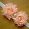 Baby Toddler Le Flower Headband Hair Band Accessories Headwear #gib