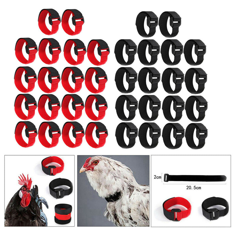 36x Chicken Collar Free Neckband Prevent Chicken from Screaming for Duck