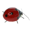 2 x Vivid Ladybug & Katydid Insect Imitation Animal Fridge Magnet Toys Outdoor