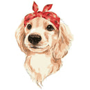 Headband Dog Oil Painting By Numbers Canvas Paint Art Pictures Home Decor A