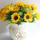 Plant Your Own Giant Sunflower Plant Kit - Indoor Windowsill Gift Gardening K2C2