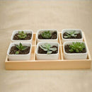 Wood 6-Grid Flower Planter Succulent Pot Storage Box Plant Box Desktop Decor