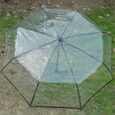 Transparent Umbrella Automatic Umbrella Rain Women Men Sun Rain Auto UmbrellD5Z1