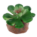 2x Water Plants Aquarium Ornament Landscape Reptiles