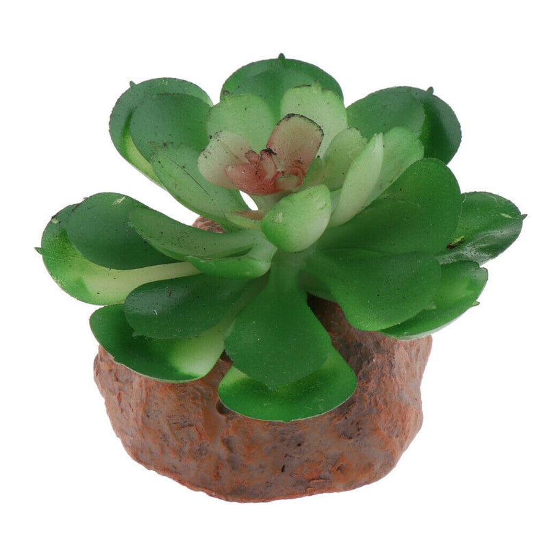 2x Water Plants Aquarium Ornament Landscape Reptiles