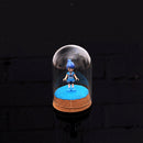 Mini Handmade Glass Dome Shade Cover Shield Case With Wooden Cork Home Decor