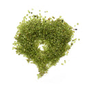 50g Natural Peridot Olivine Quartz Stone Rock Chip Lucky Heal Stones.Mineral â„–[