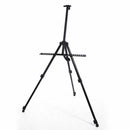 Portable Folding Easels Stand With Gym Bag For Artist Painting Outdoor Fold
