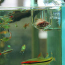 2x Fish Feeder Aquarium Clear Live Red