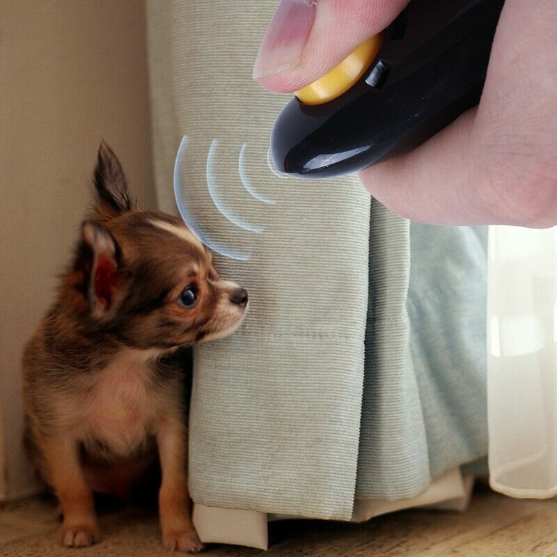 5X(Clicker for Training Dogs, Black T3Q6)