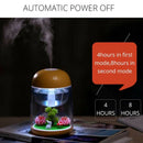 Micro-Landscape Air Humidifier for Baby Home Office Creative Gift Essential I9I3