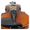 3/4 4/4 Violin Fiddle Tailpiece Hill Style with 1pcs Tailgut Tailcord 4 Fin