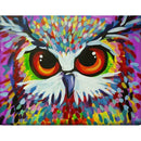 5D DIY Diamond Painting Kits Animal Full Round Drill Picture (B2513 Owl)