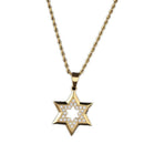 Stainless Steel Rhinestone Pendant Hexagonal Star Pendant Plating Trend Hip
