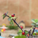 100x Ladybird Mini Self Adhesive Wooden Ladybugs Toppers Mini 0.39 inch Hot K1I4