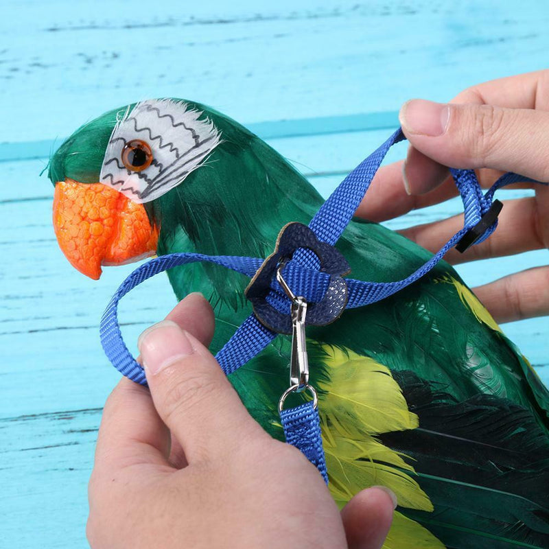 Parrot Leash Adjustable Harness Bird Anti Fly Outdoor Training Rope (Blue)