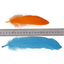 Approximately 50 pcs Colored Multi-colored Goose Down 12 to 18 cm