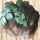 50pcs Lady Amherst natural green pheasant feathers fur craft/millinery/ jew V6P3