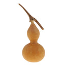 10Small Natural Dried Gourds Table Ornament