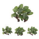4PCS 9 X 6 X 8cm Aquarium Decor Fish Tank Decoration Ornament Artificial Plastic