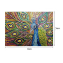 5D DIY Special-shaped Diamond Painting Peacock Cross Stitch Embroidery Kit