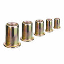 Carbon Steel Rivet Nut Insert Nutsert M4 M5 M6 M8 M10, 120 Pieces