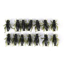 20Pcs Soft Fishing Lures Pesca Lightweight Cricket Insect Lure Simulation BaitME