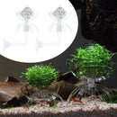 2pcs Feeding Basin for Dwarf Shrimps,Fish, Aquarium Invertebrates Clear Glass