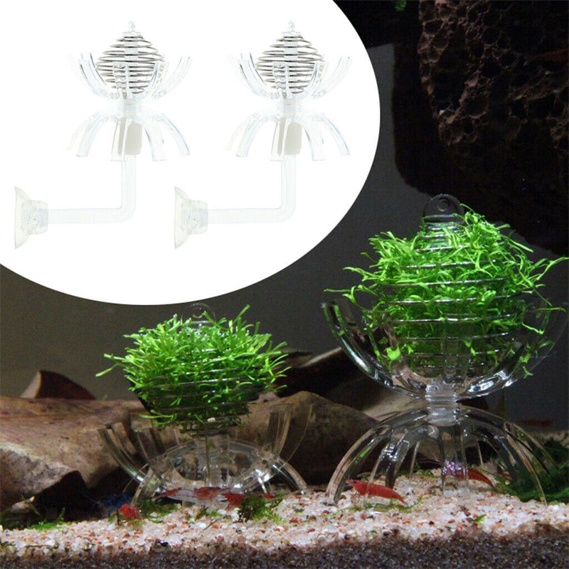 2pcs Feeding Basin for Dwarf Shrimps,Fish, Aquarium Invertebrates Clear Glass
