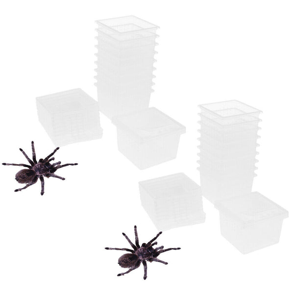20x Transparent Box Insect Reptile Transport Breeding Live Food Feeding Box