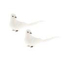 2 Pieces Simulation Feathered Foam Long Tail Pigeon Outdoor Decor Prop