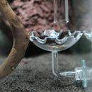 6 Pcs Aquarium Crystal Clear Acrylic Red Shrimp Snails Feeding Dish Food Bowl