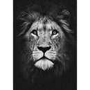 Animal Full Drill Diamond Painting 5D Mosaic Bead Art Picture (E35 Lion)