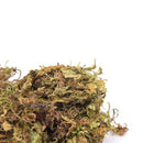 10g Dried Artificial Reindeer Moss Plant For Flower Hanging Basket Home Decor BX