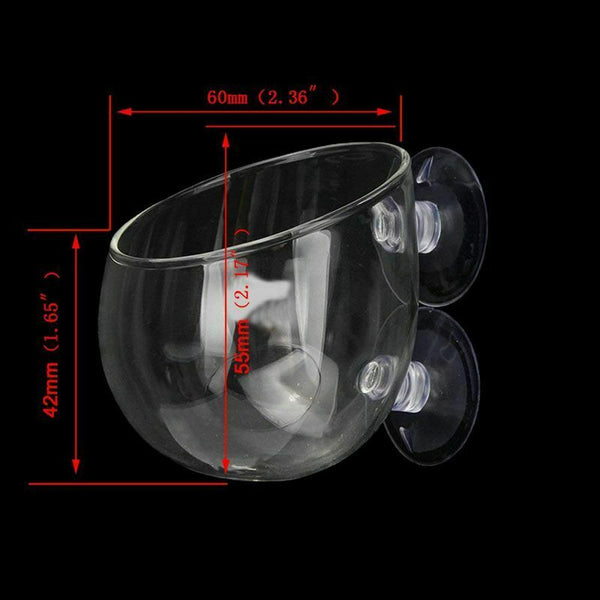 2X Glass Aquatic Plant Cup Pot 4X Suction Cups Fish Tank Aquarium Aquascape G2X5
