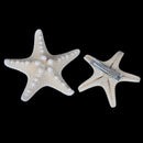 2X Lady Girl Beach Wedding Natural Starfish Sea Star Hair Clip Hairpi OZ