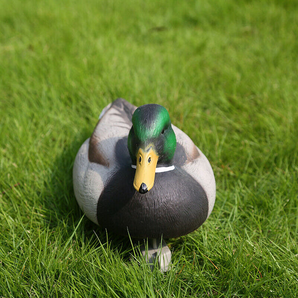 Plastic Lifelike Mallard Duck Decoy Floating Drake Duck Decoy For Hunting